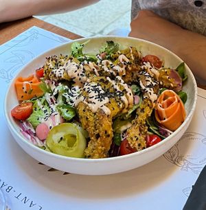 Buffalowings. Chewy mushrooms with fresh salad    at Barakokula in Split