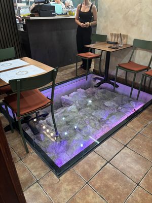 Roman (presumably?) remains under the floor   at Barakokula in Split