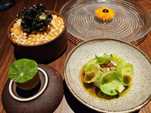 Starters at JOLA in Vienna