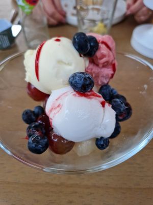 Sorbet zonder slagroom at Abel in Poortugaal