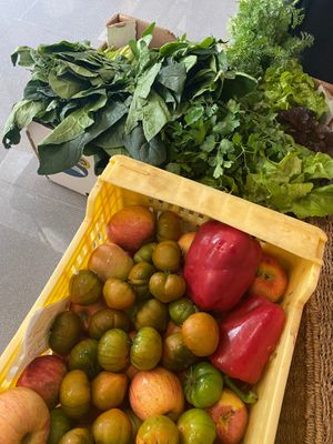  at Zibâ Life in Teulada