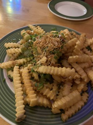 Green curry fries  at Oolong Asian Cuisine in Dubuque