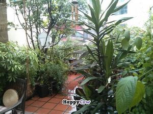 Garden terrace if you want to be surrounded by green! at The Hanoi Social Club in Hanoi