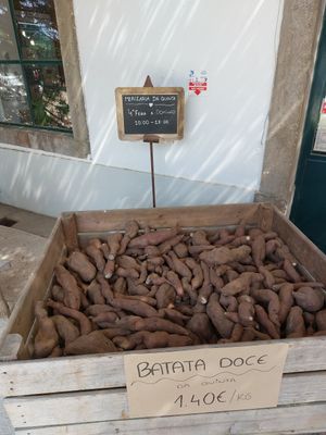  at Quinta do Arneiro in Azueira