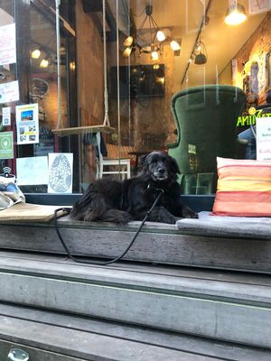   at Salon 7 in Oldenburg