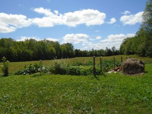 View from the great room. at Teal Sky Retreat in Balderson