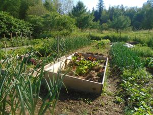 One of the gardens.  at Teal Sky Retreat in Balderson