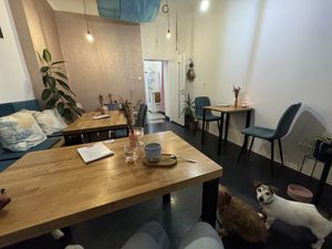 Seating area behind the bar  at Balance by Luci in Prague