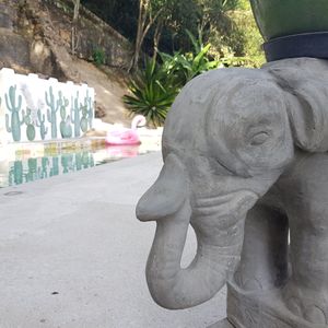 We're designed every angle of our house with love and attention. at Soulrebel Rio in Rio De Janeiro