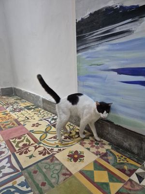  at Soulrebel Rio in Rio De Janeiro