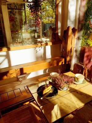 A great place to take in the twilight sunshine while enjoying the garden feel. Cake and coffee make a great tea time snack. at Cafe@62 in Brighton