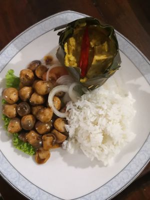Tofu Amok and Mushroom Lok Lak with rice at Nary Kitchen in Battambang