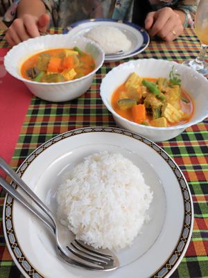 Red curry with tofu at Nary Kitchen in Battambang