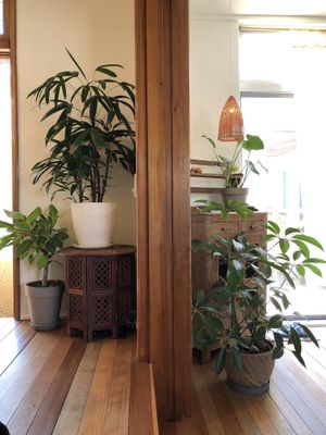 Interior  at Santosha 산토샤 in Jeju