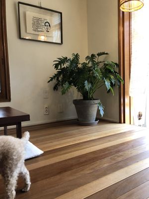 Interior  at Santosha 산토샤 in Jeju