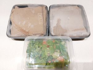 The Veggie with complimentary salad at La Vegan in Toronto