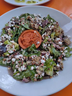  at île de païn in Knysna