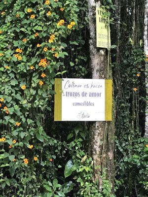   at Tulia in Medellin