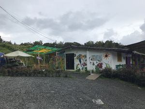   at Tulia in Medellin