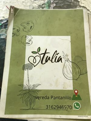   at Tulia in Medellin