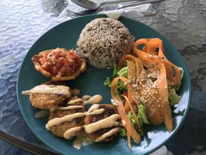 Main plate of menu of day    at Tulia in Medellin