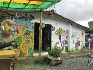   at Tulia in Medellin