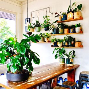 Inside cafe at Source Foods in Perth