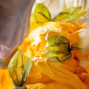  at Moo Moo Isbar - Nordhavn in Copenhagen