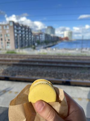   at Moo Moo Isbar - Nordhavn in Copenhagen