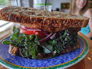 Delicious mushroom sandwich  at Sir Vegaani in Roanoke