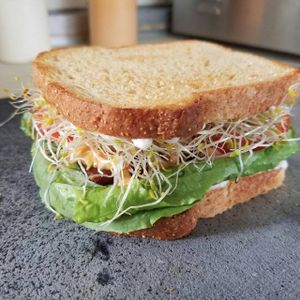 The Tempeh Lettuce Tomato Sandwich with a roasted red pepper garlic aioli.  at Veggie Love Food Truck in West Palm Beach