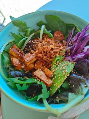  at Lasai Maitia in San Sebastian