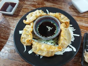 Gyoza at I Luv Sushi CNX in Chiang Mai