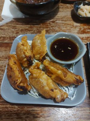 Vegetable gyoza at I Luv Sushi CNX in Chiang Mai
