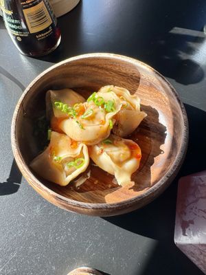 Best dumplings. Omg so good. Best vegan ones I’ve ever eaten    at House of Vegano in St Petersburg