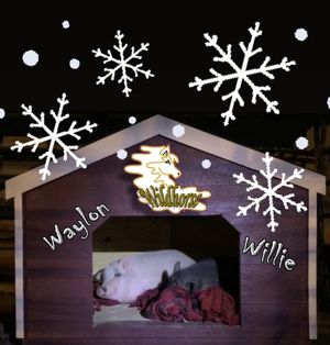 We don't rescue piggies, but these two were in dire need so we figured it out. 
Waylon and Willie are two pot-bellied pigs who were someone's pets.  at Wildhorse Ranch Rescue in Gilbert