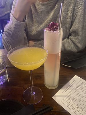 Cocktails!   at Bonsai Plant Kitchen in Brighton