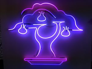  at Bonsai Plant Kitchen in Brighton