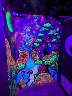  at Bonsai Plant Kitchen in Brighton