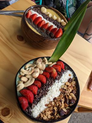 La vida tropical (left) and el bosque salvaje (right) at Jungle Bowls in La Fortuna