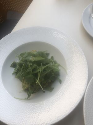 Starter.Melon and cucumbers in lemon pesto  at Menza in Budapest