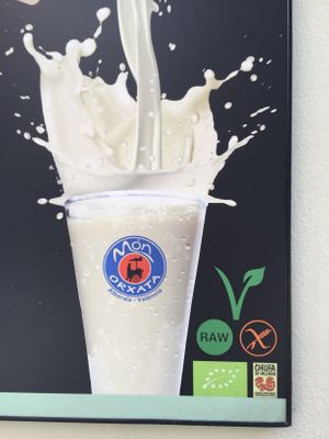 Outside  at Bodevici Bioconcept - Torrijos in Barcelona