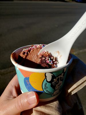 Kid scoop vegan chocolate brownie with sprinkles topping at Molly Moon's Homemade Ice Cream in Seattle
