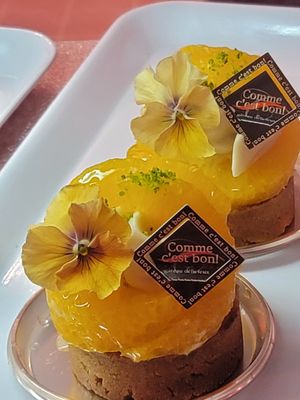 デコポンタルト at Salon de the Rima in Tokyo