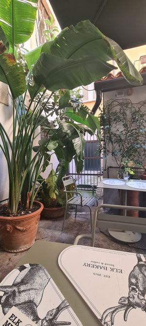  at Elk Bakery - The Garden in Verona