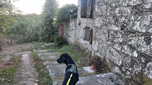   at Caserio da Castineira in Montederramo