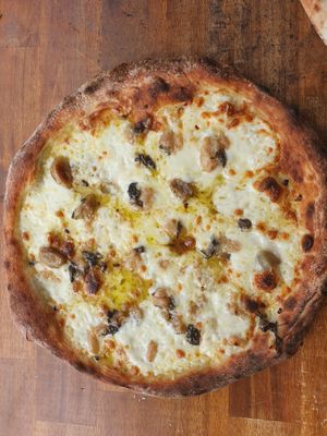  at Slice of Heaven in Dunedin