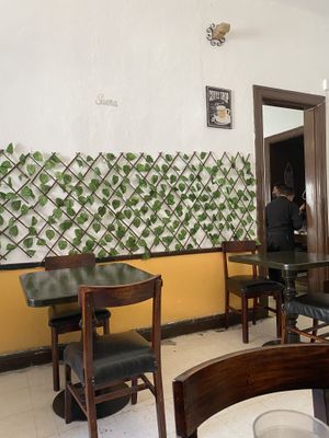   at Restaurante Vegetariano Terra Nostra in Mexico City