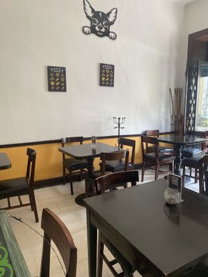   at Restaurante Vegetariano Terra Nostra in Mexico City