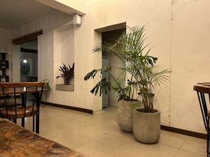 Interior #Veganuary at Pianta in Bogota